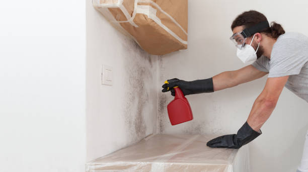 Professional Mold Cleanup technician working in North Bend, OR