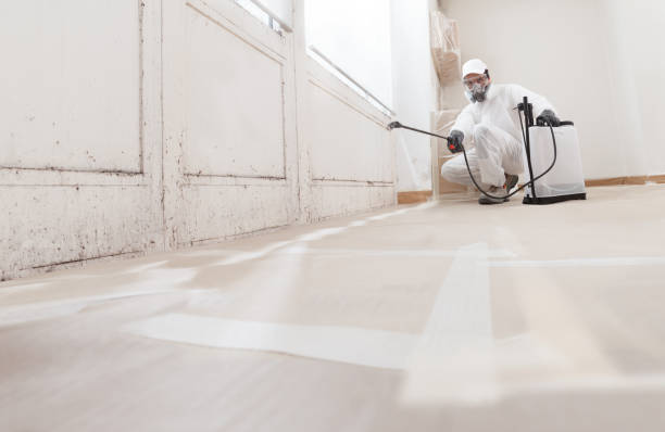 24/7 Emergency Mold Cleanup experts in North Bend, OR